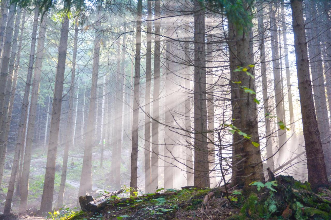 Landgasthof Falken Huttlingen Esterno foto