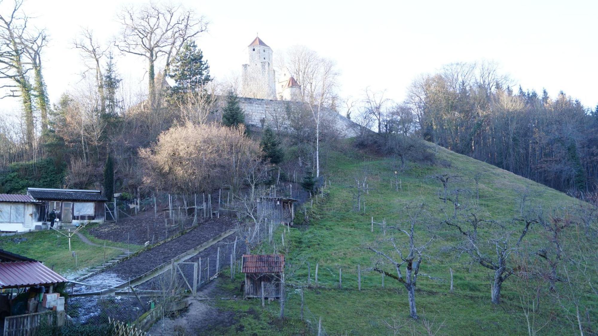 Landgasthof Falken Huttlingen Camera foto